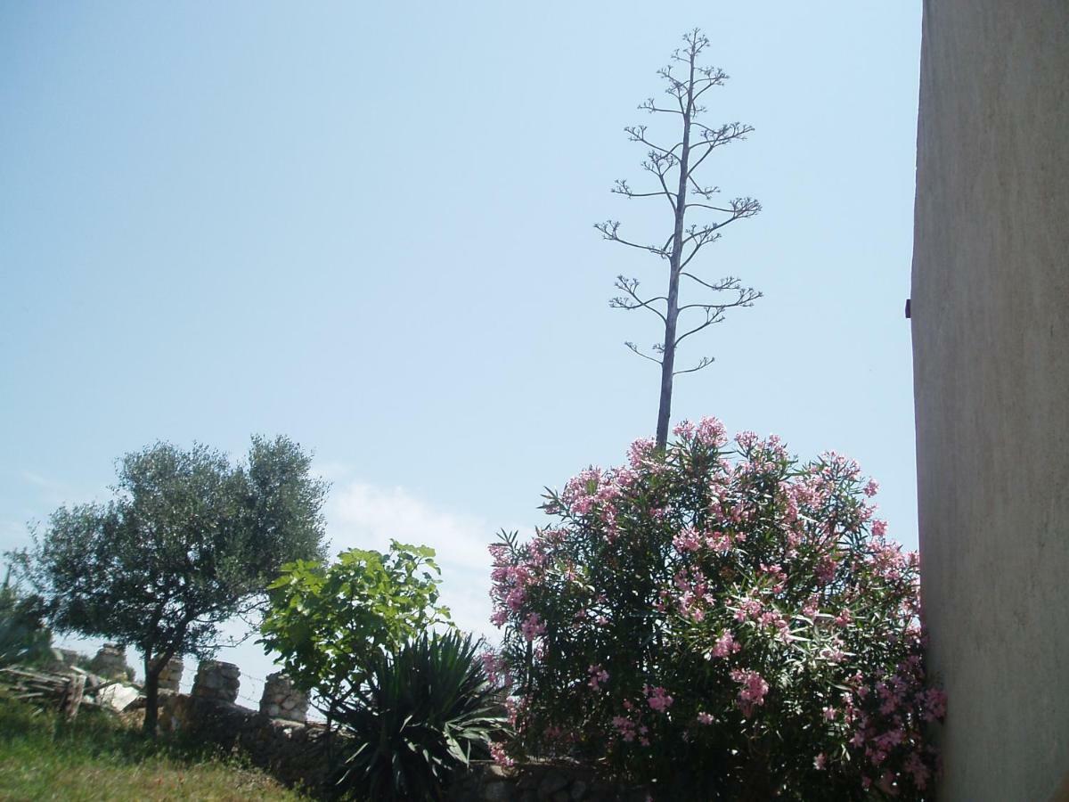 Apartment 4M Čunski 外观 照片